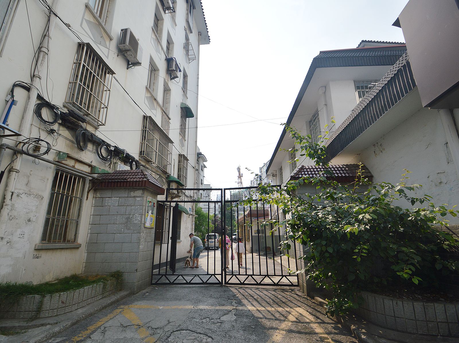 南京笨笨驴窝(乌衣巷店)