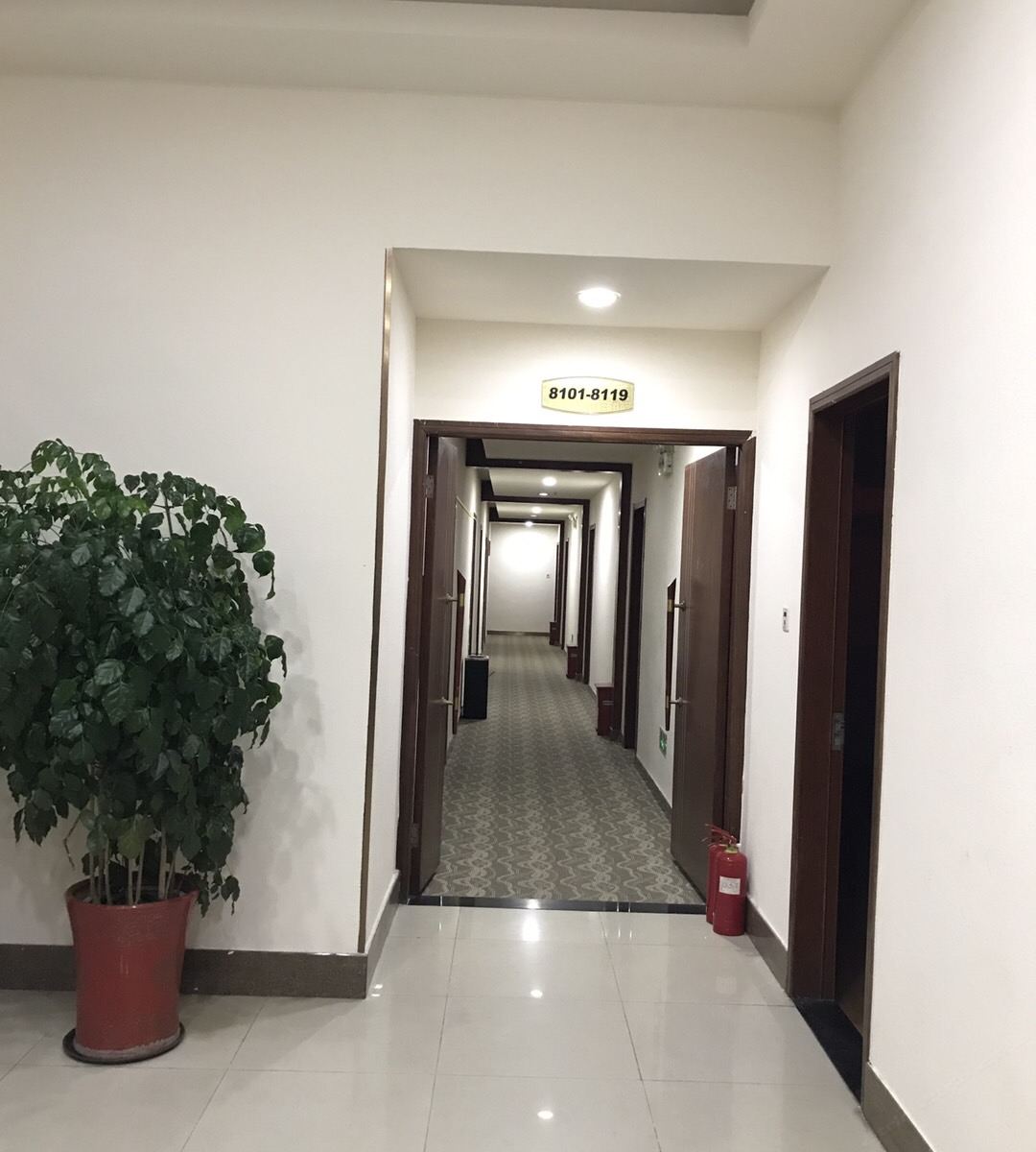 公共区域