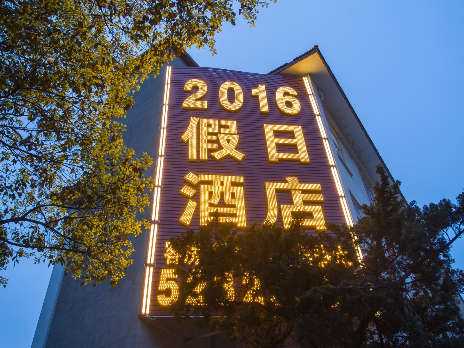 外观