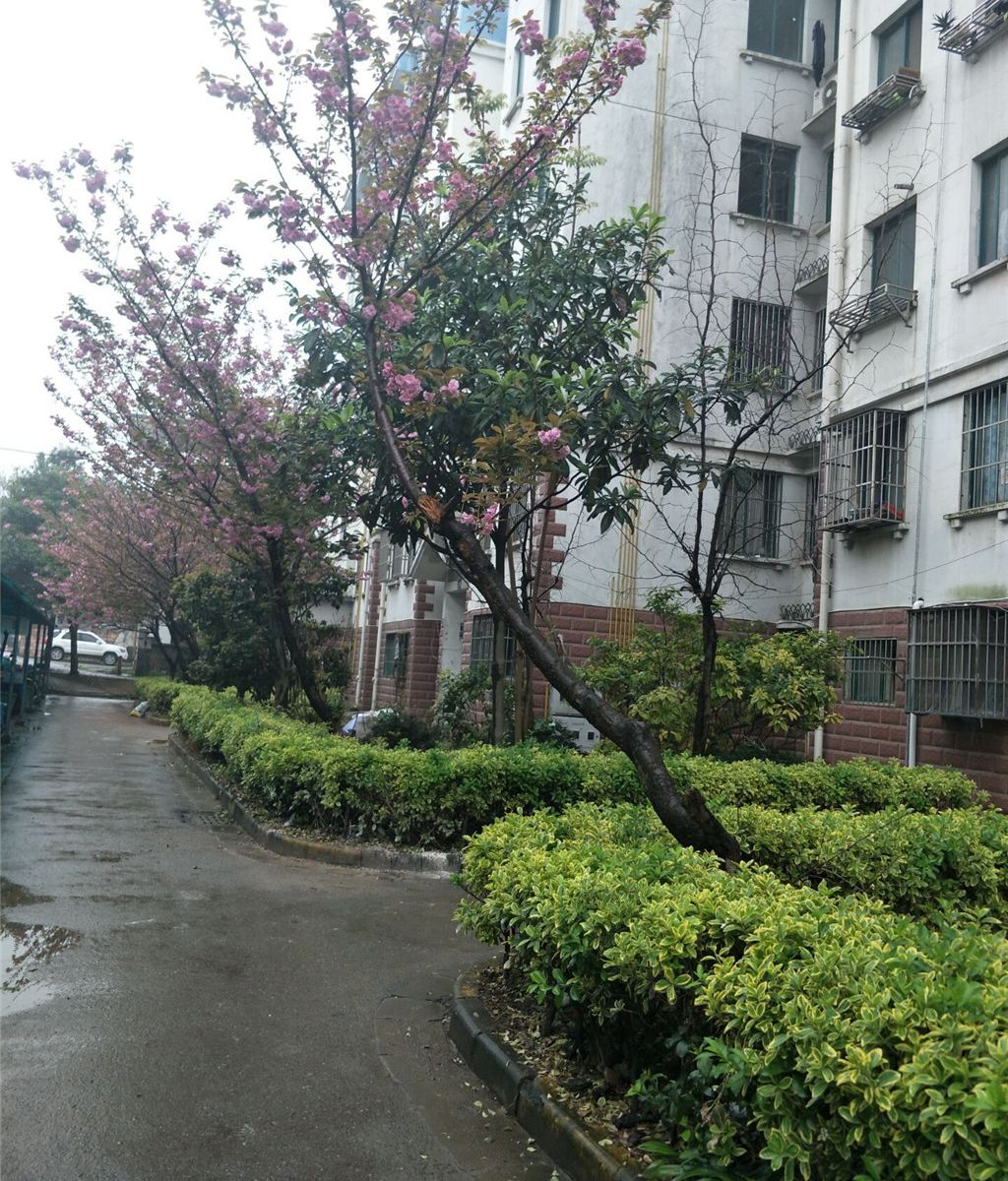 南京快乐时光青年公寓