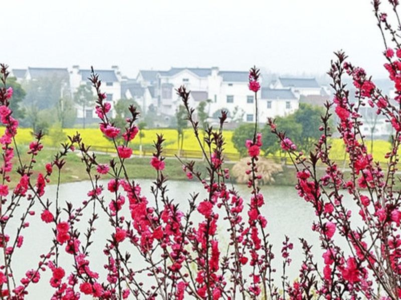 南京花花农家乐