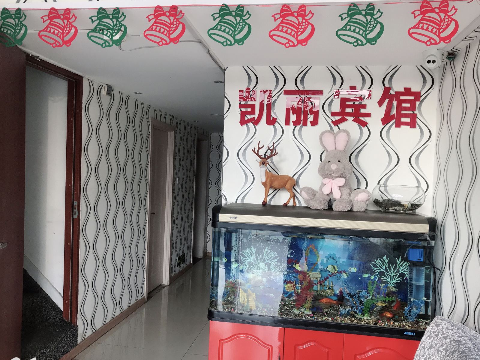公共区域