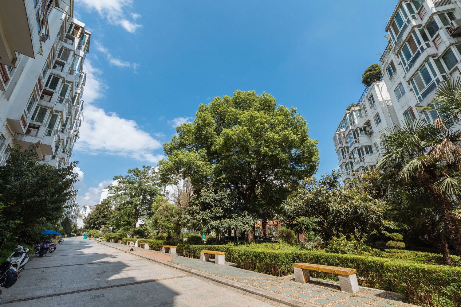 久违之家普通公寓(南京平江府路店)