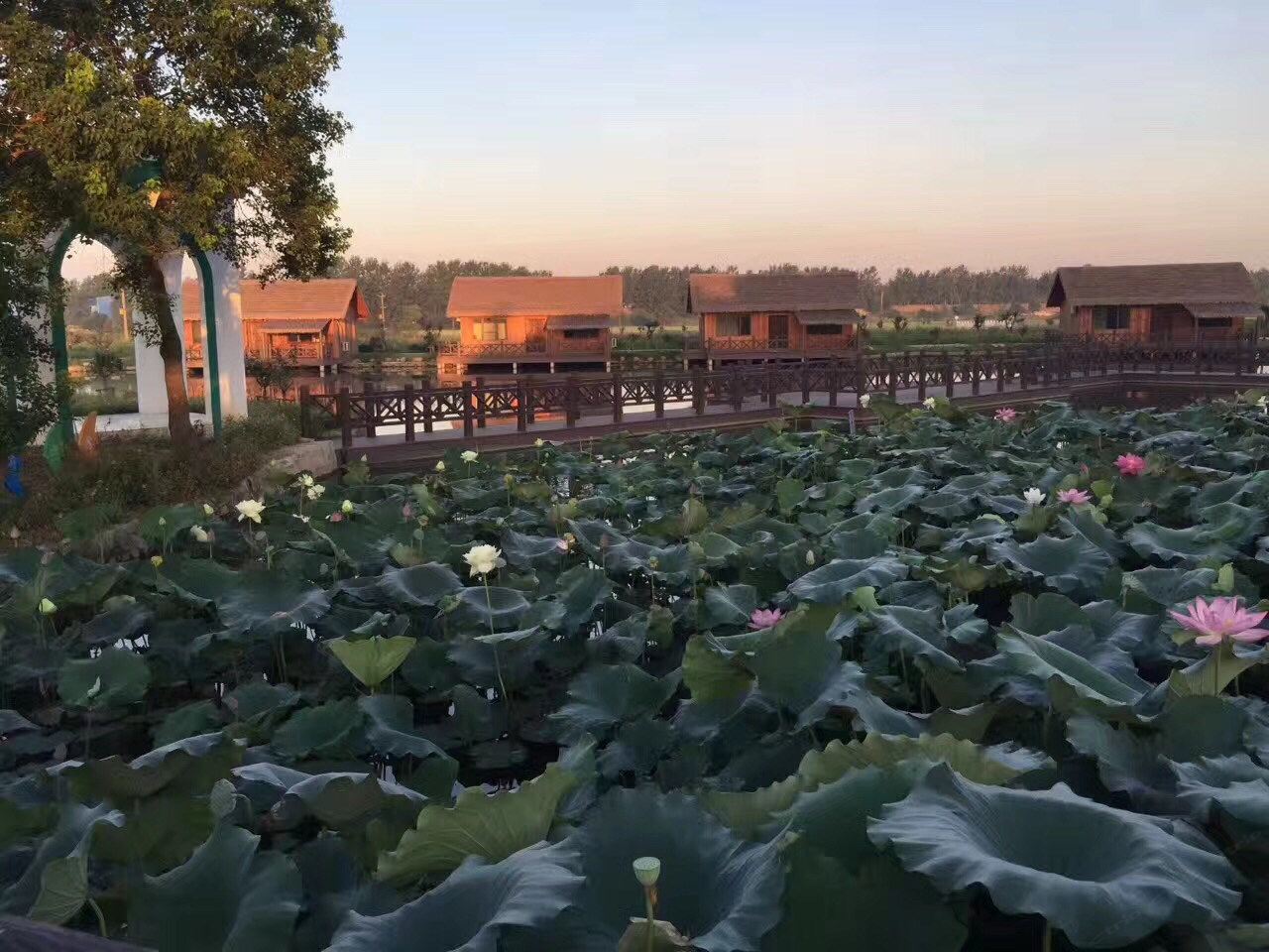 南京lcx特色民宿(下浣溪路分店)
