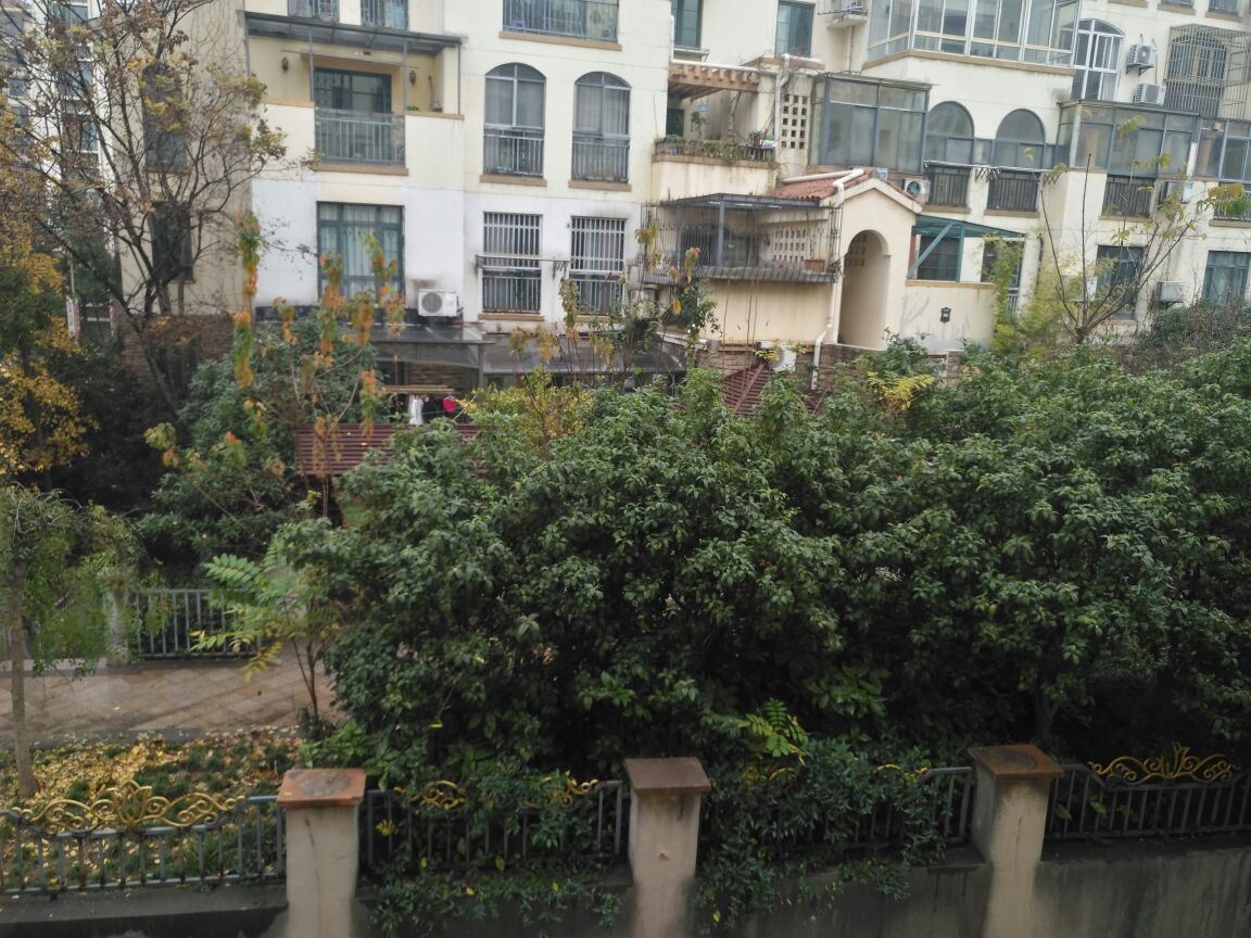 南京常青树青年旅舍