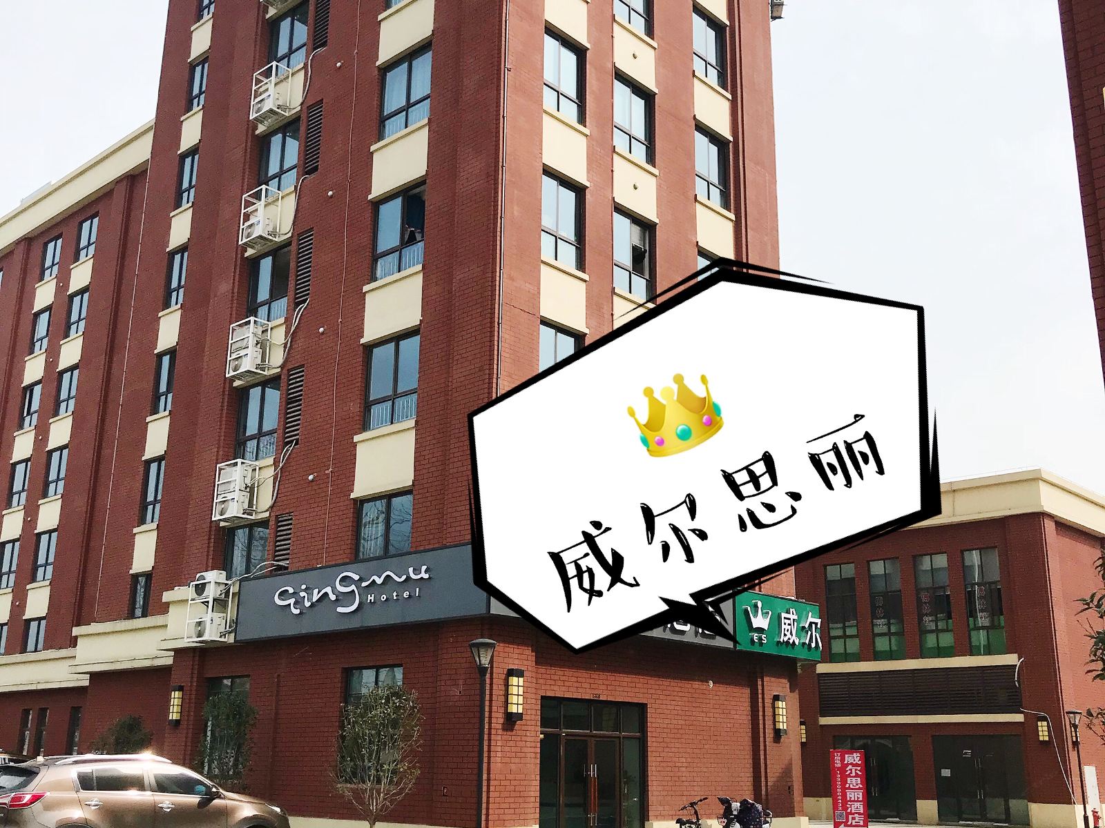 外观