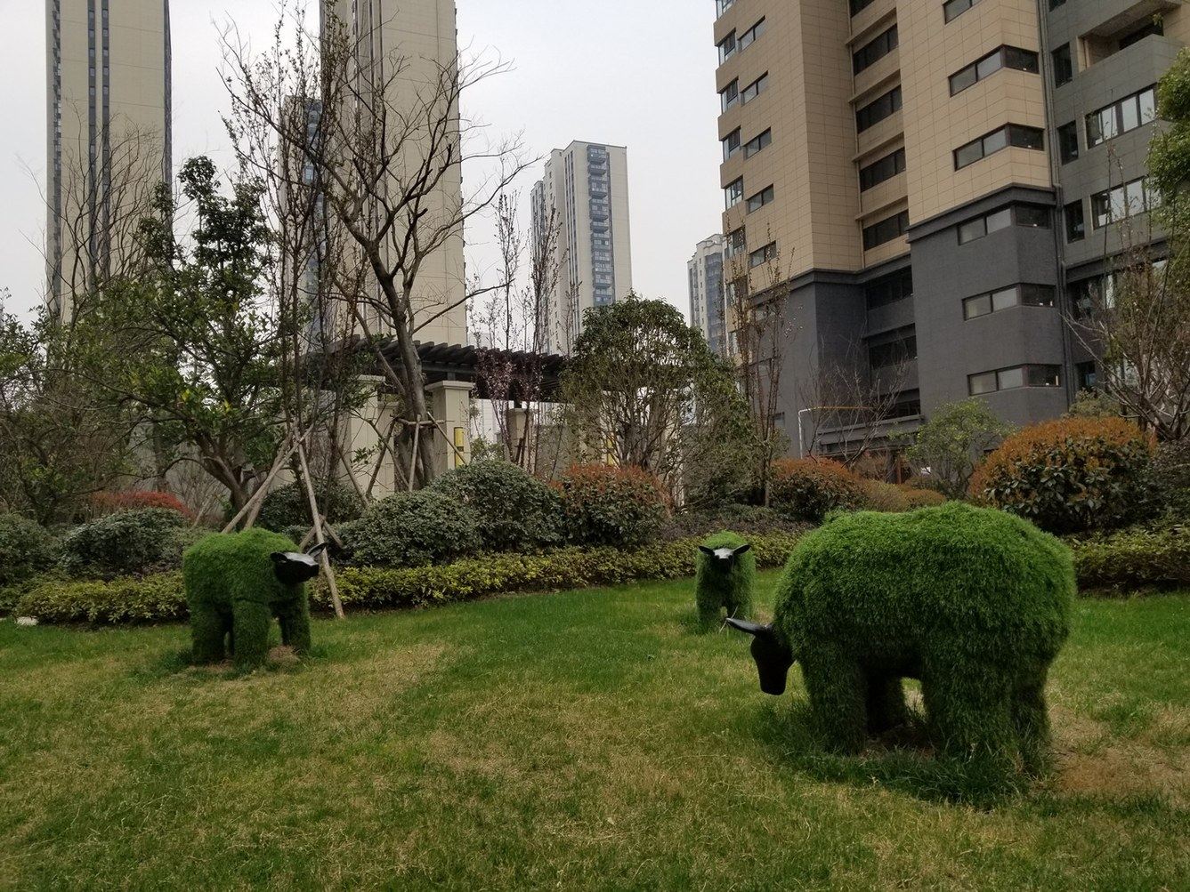 其他