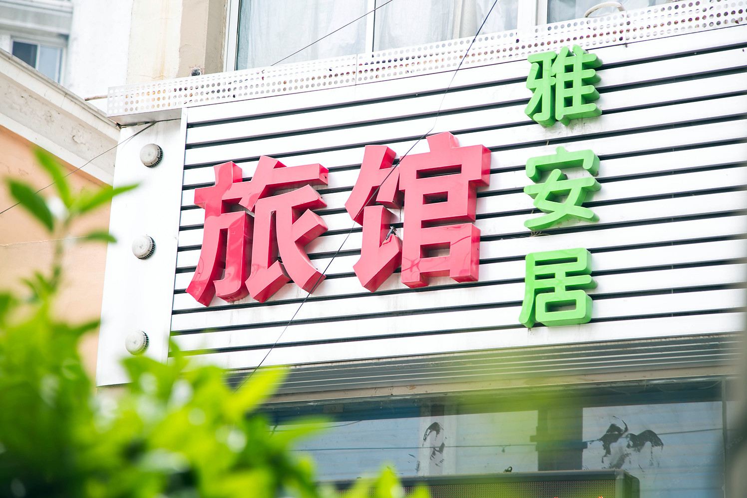 外观