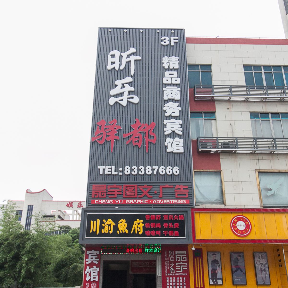 外观