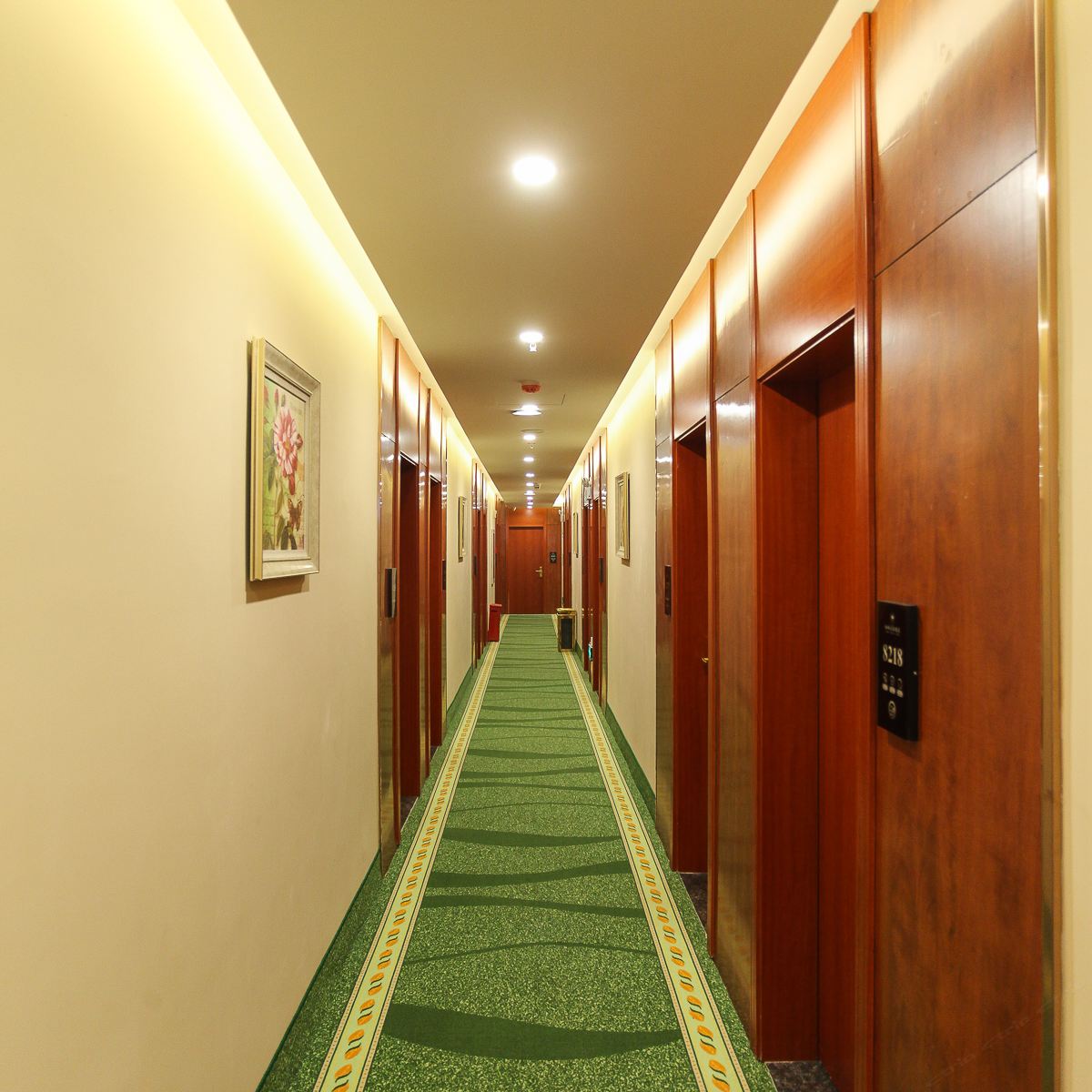 公共区域