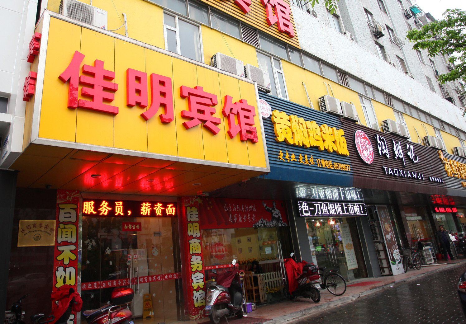 外观