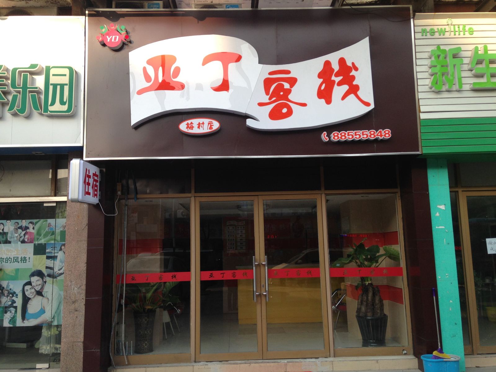 外观