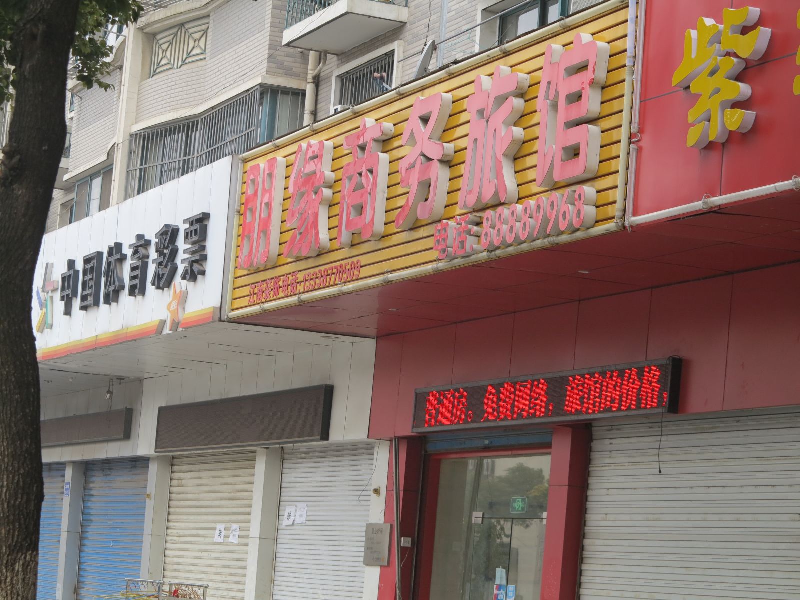 外观