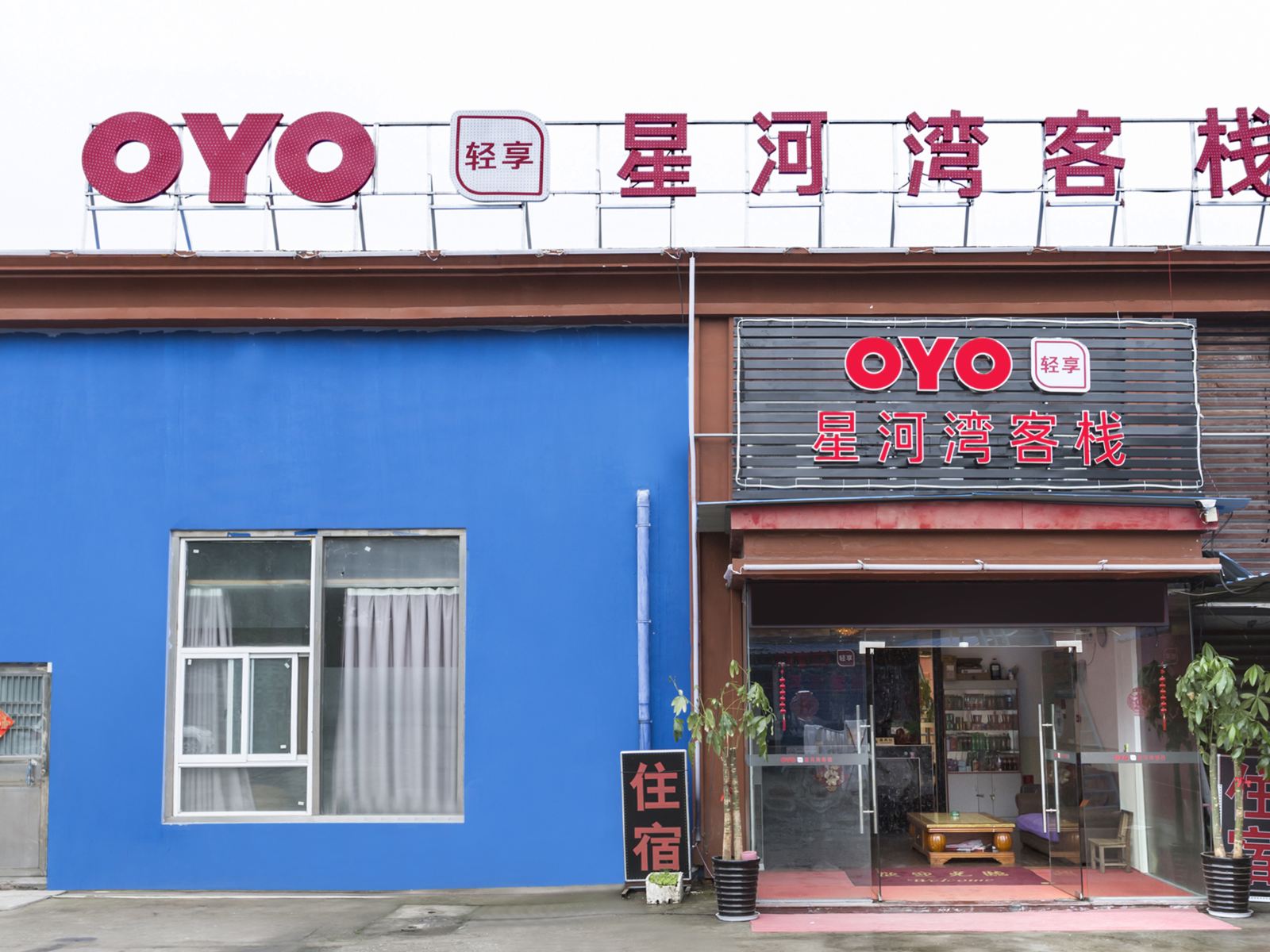 外观