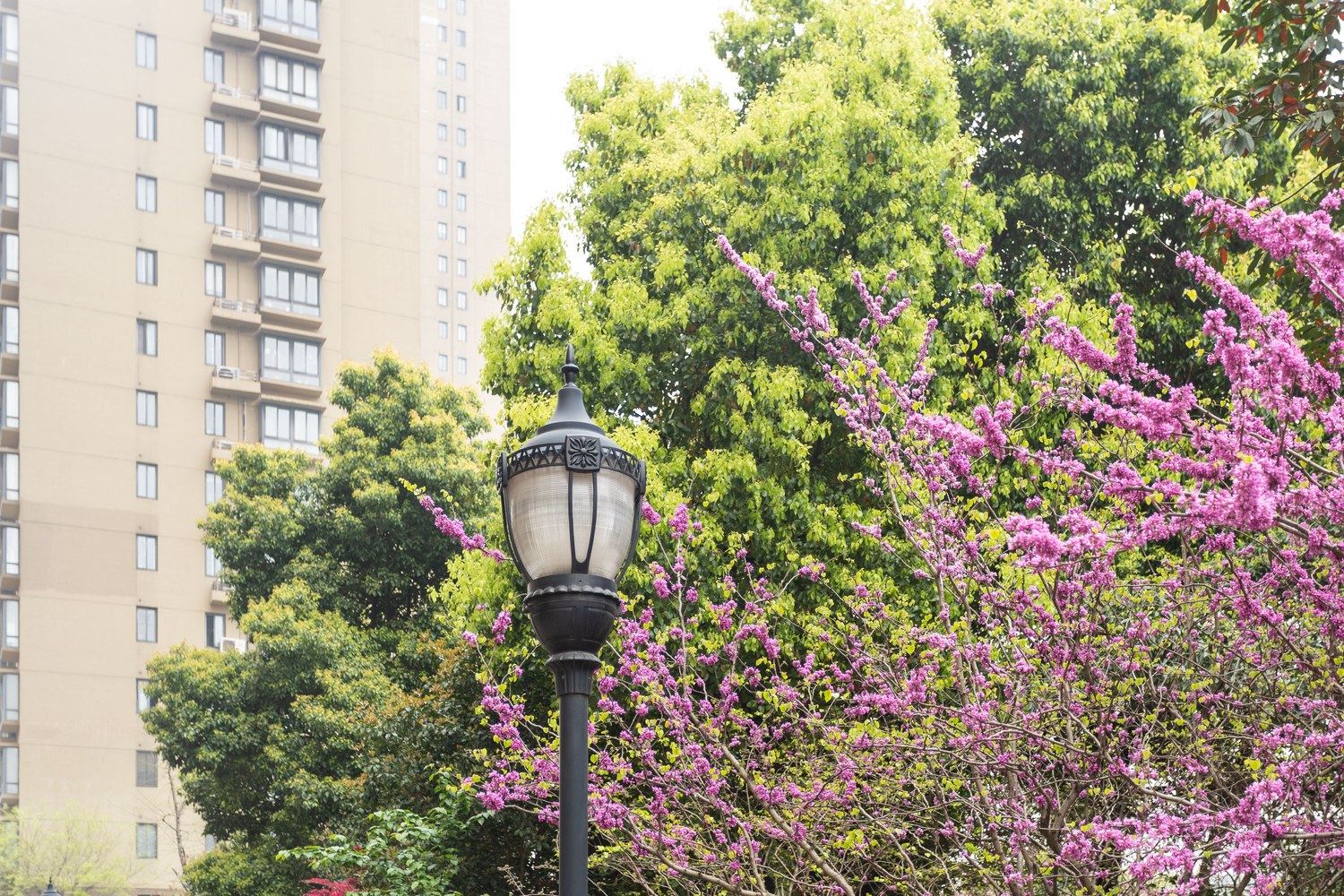 无锡逍江南公寓(6号店)