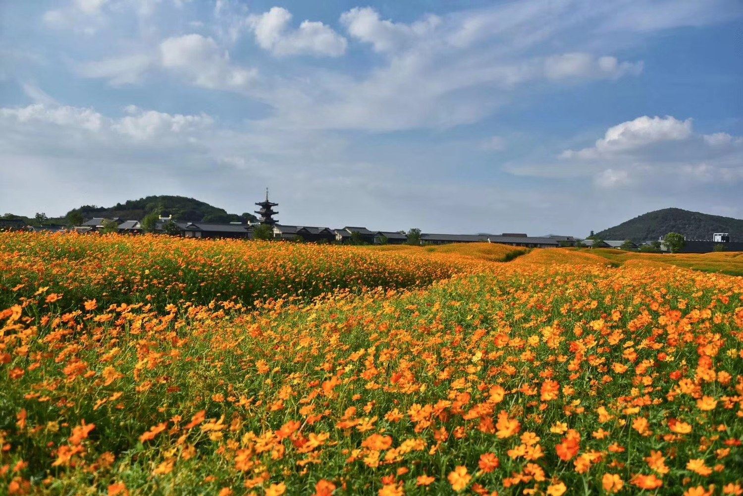 拈花湾半山度假别墅(无锡经二路店)