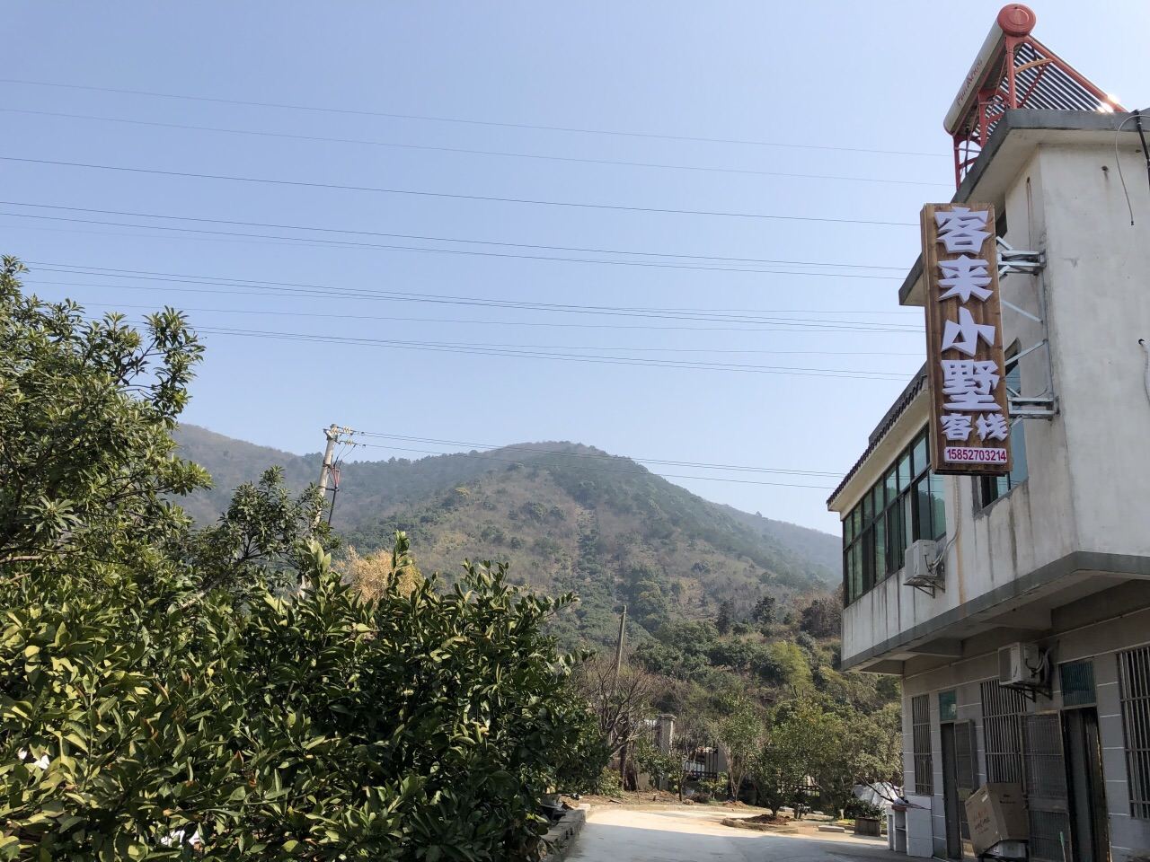 外观