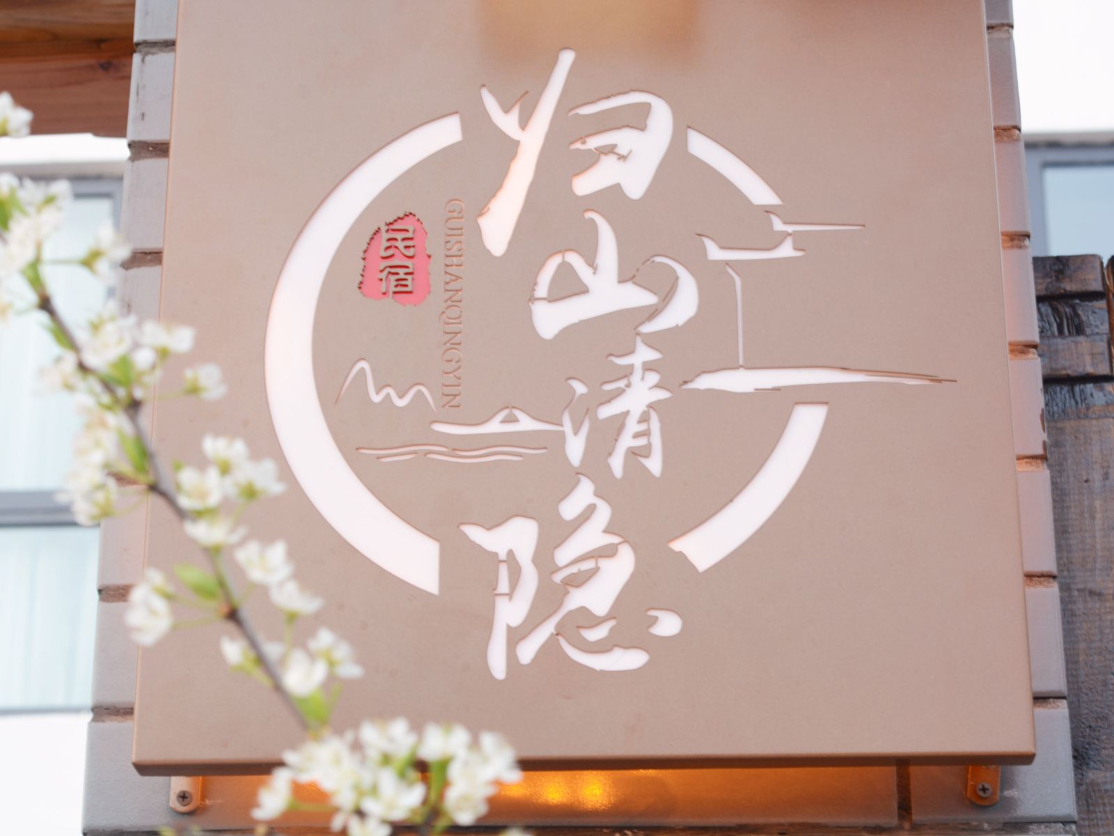 外观