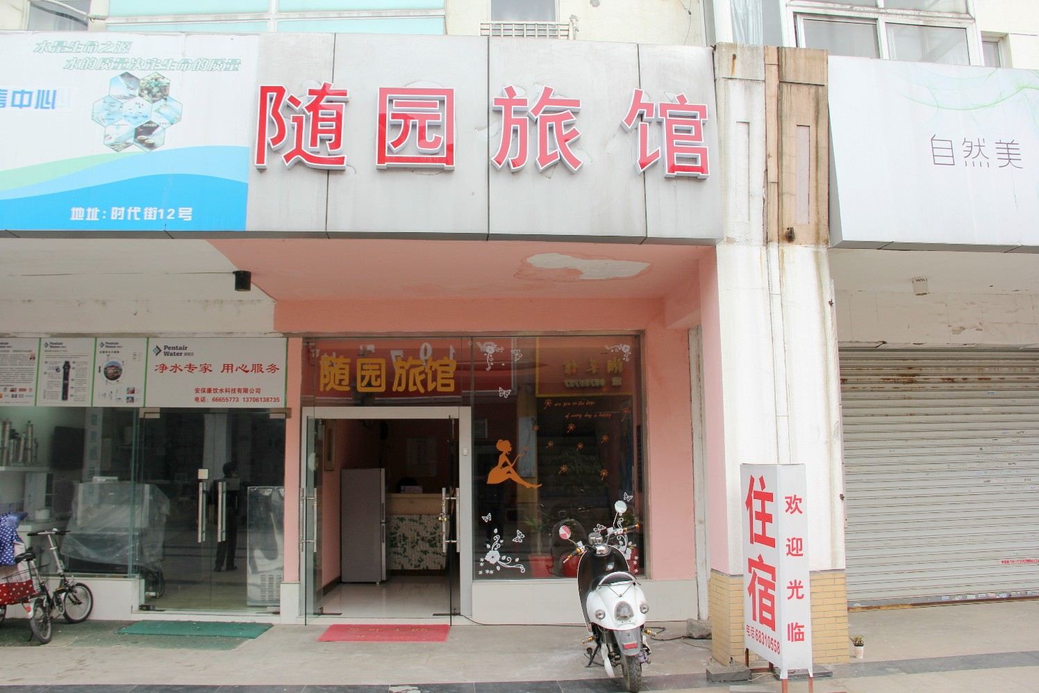 外观