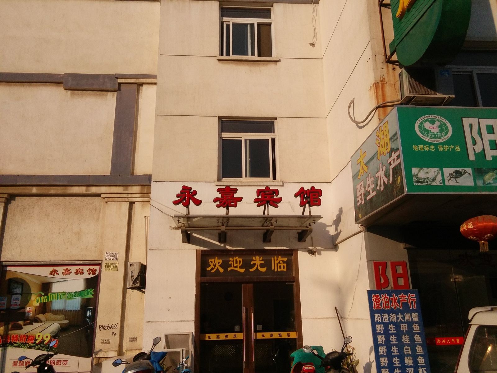 外观
