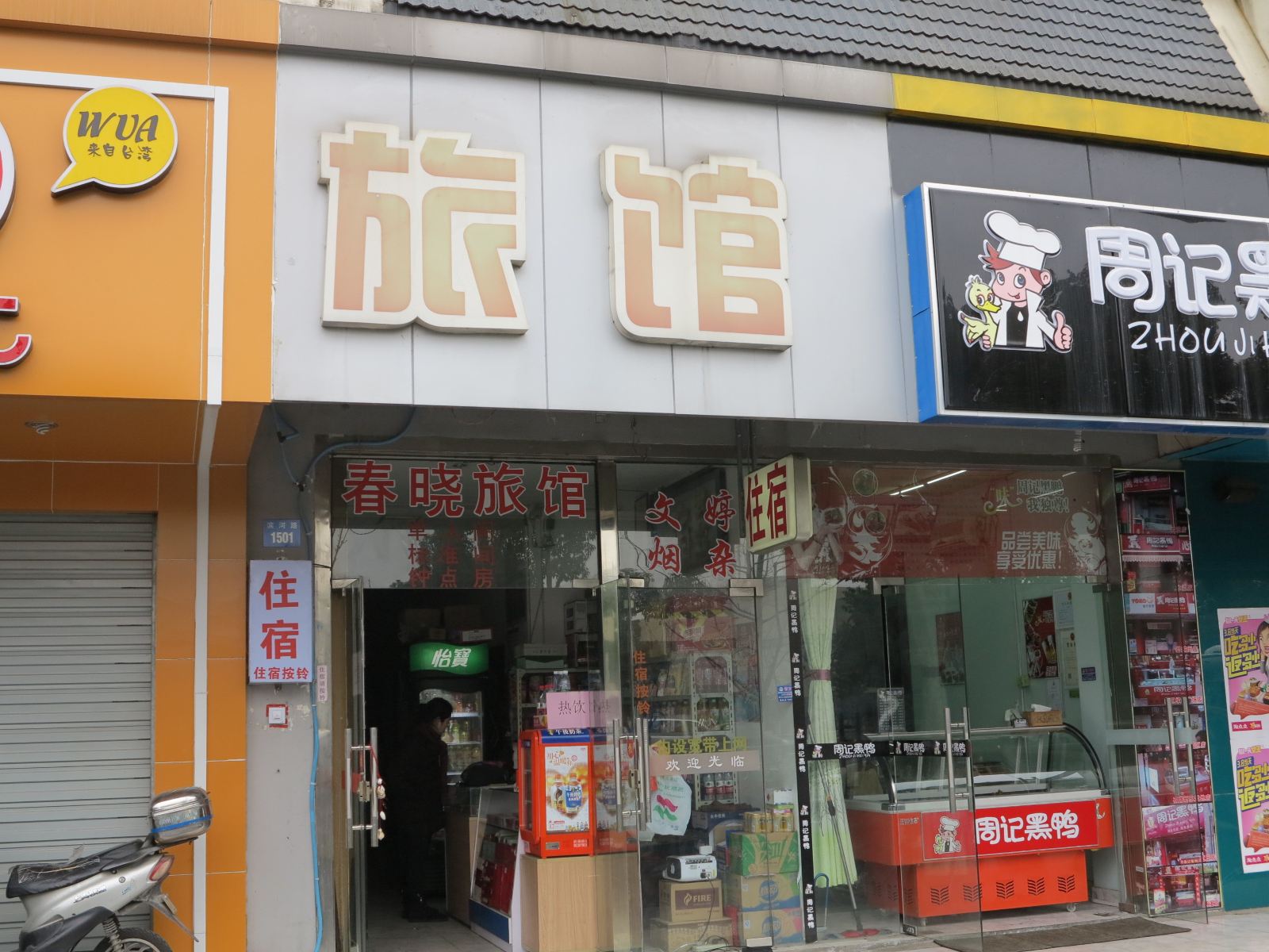 外观
