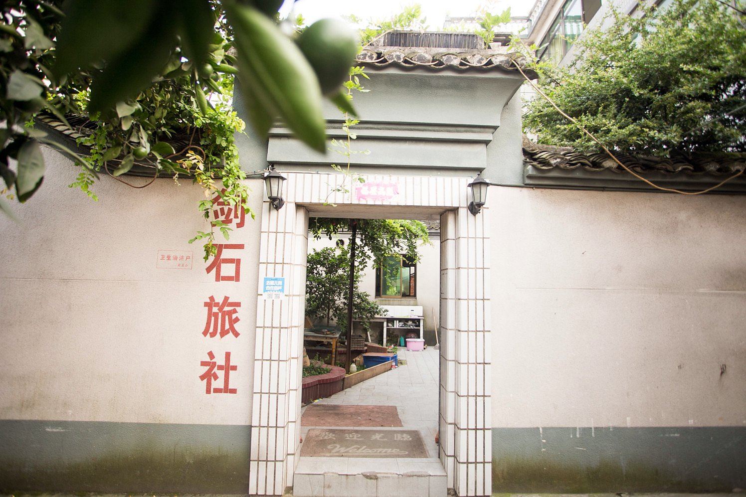 外观