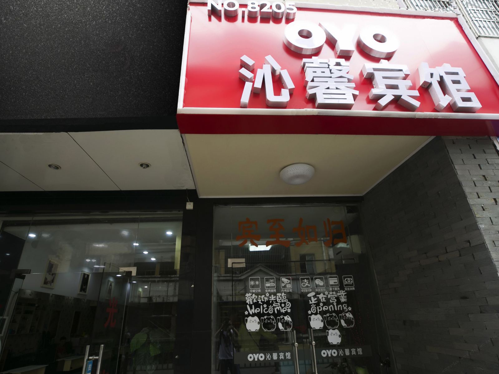 外观