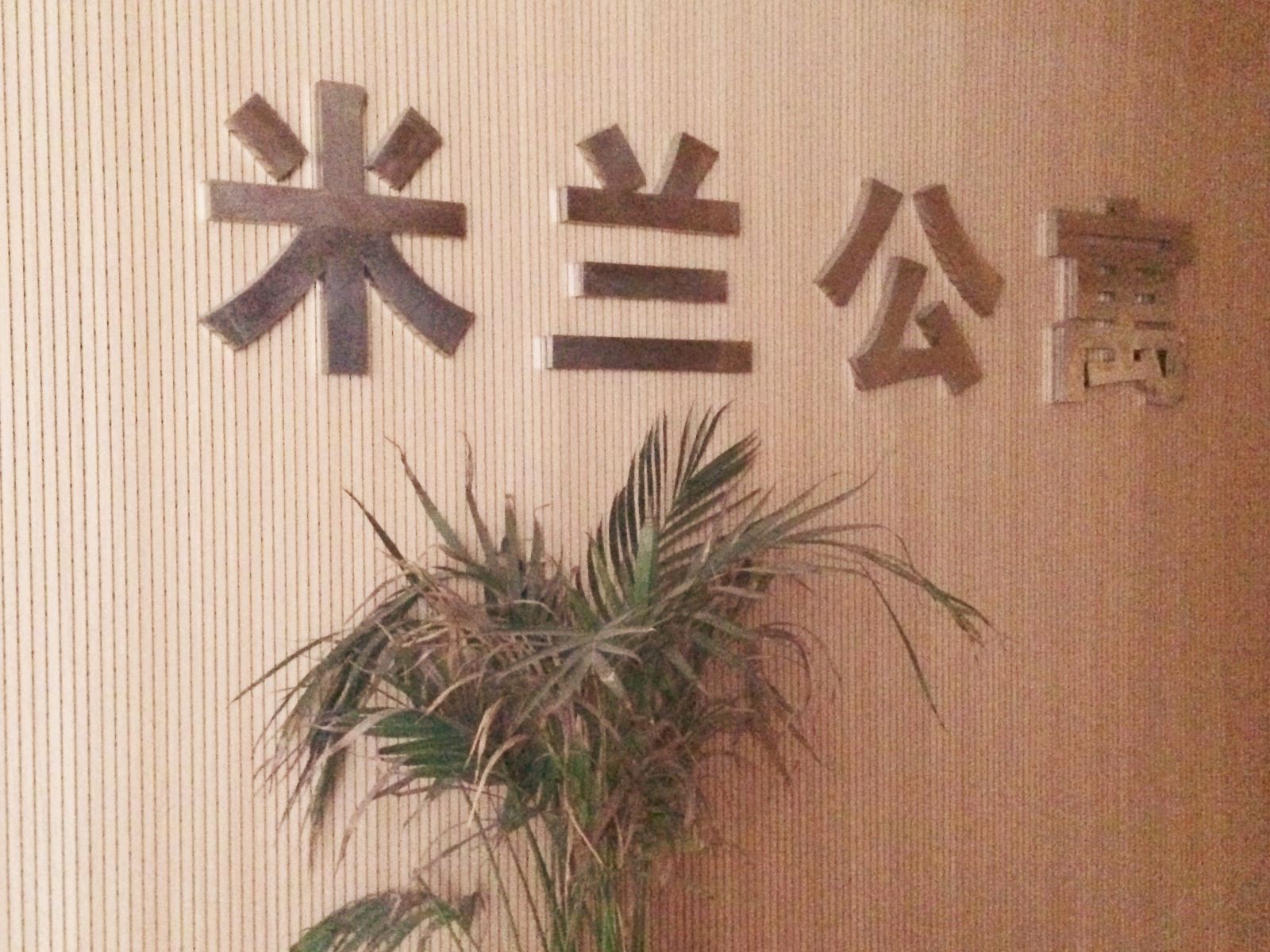 公共区域