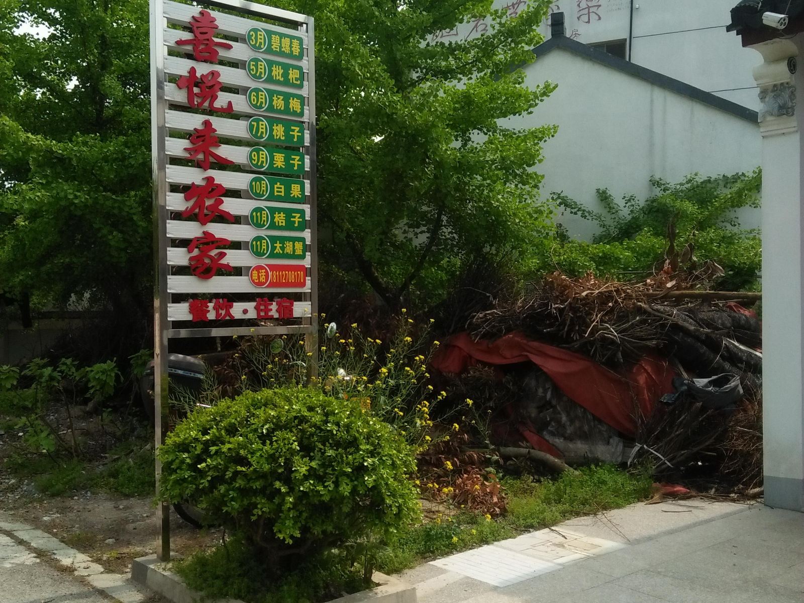 外观