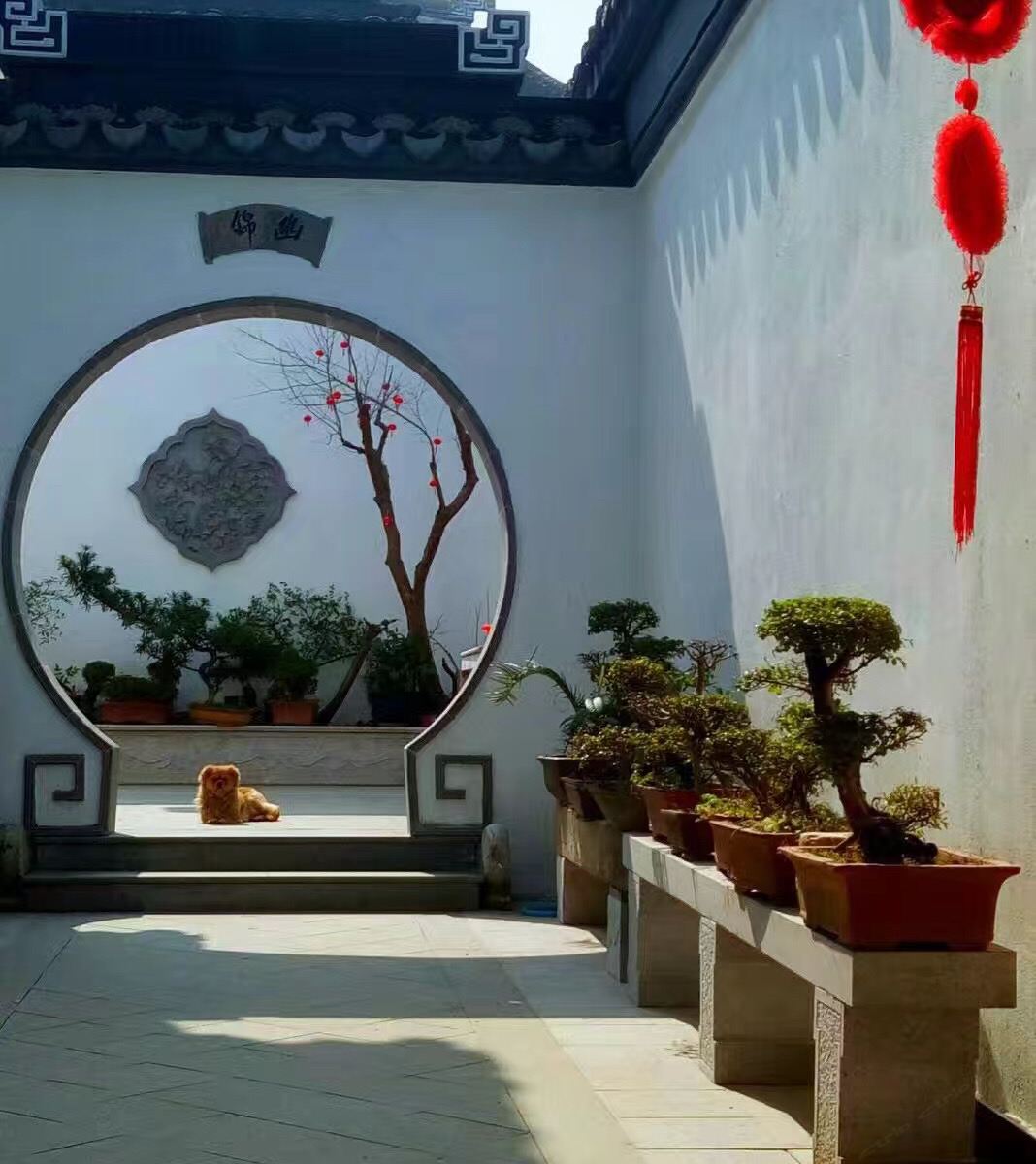 公共区域