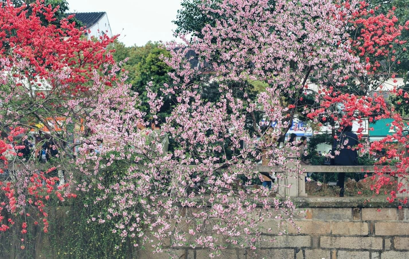 苏州陈朋公寓