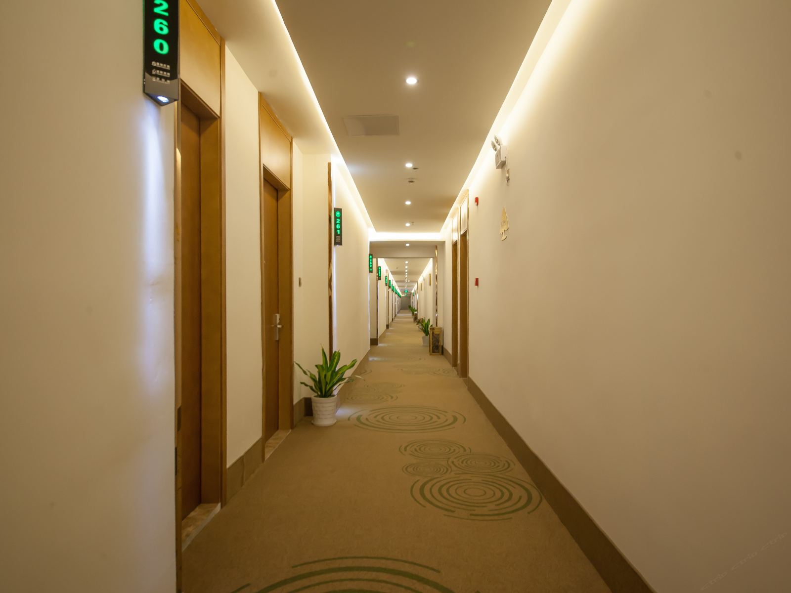 公共区域