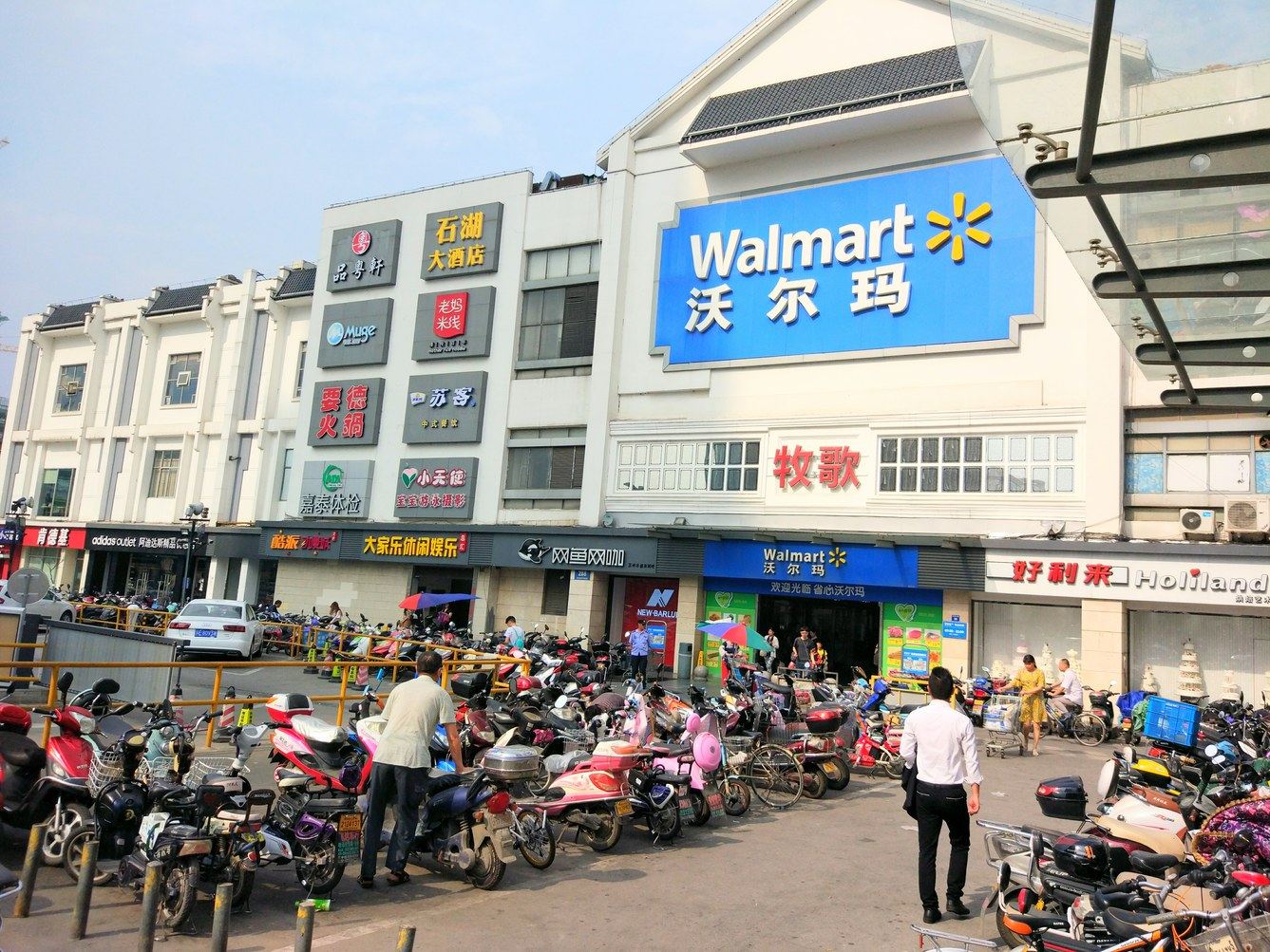 外观
