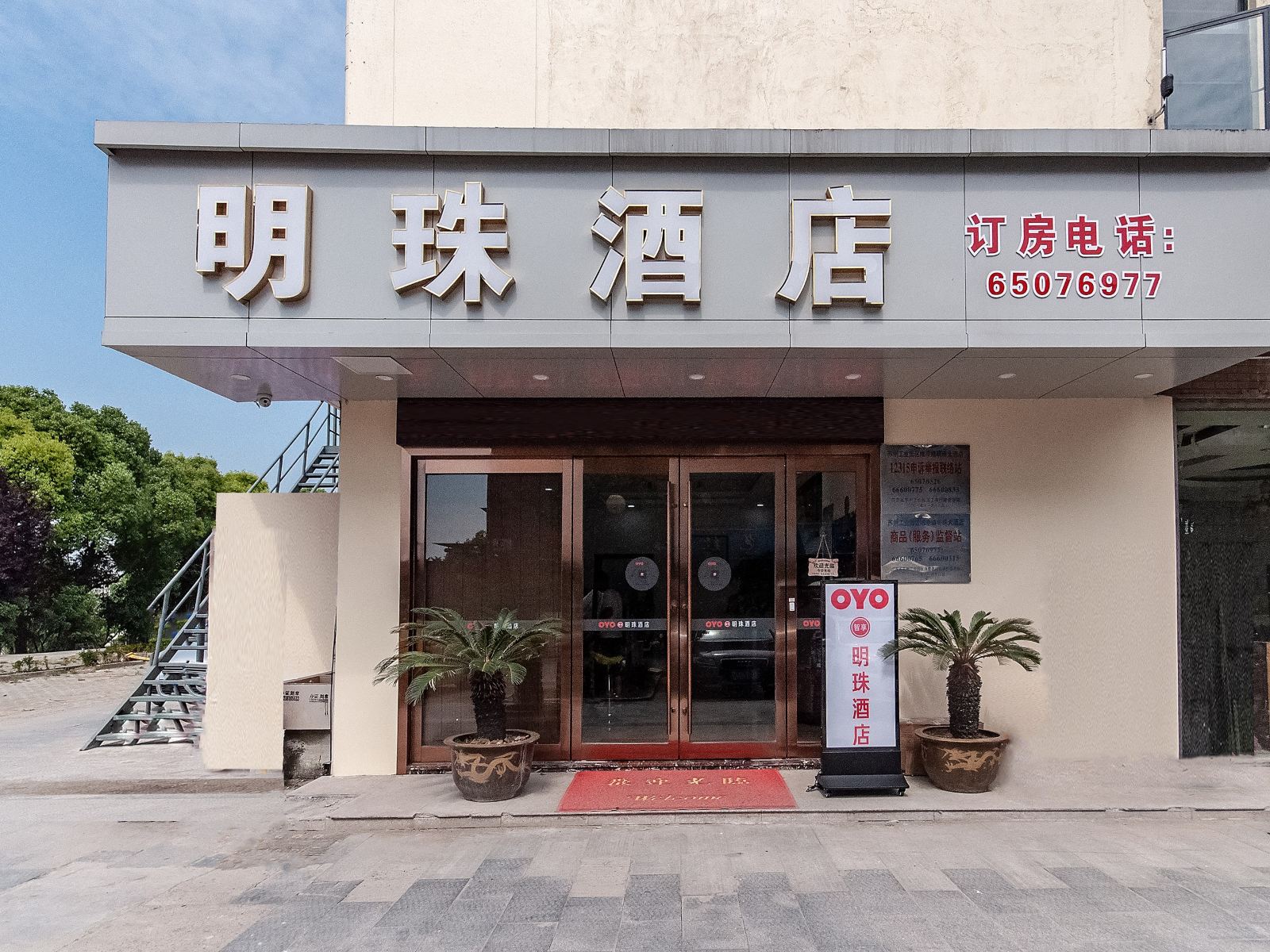 外观