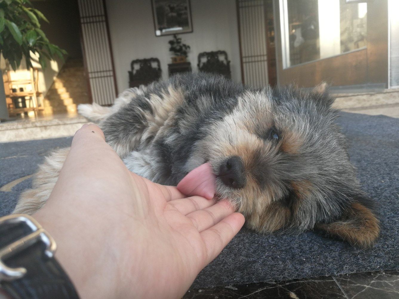 其他