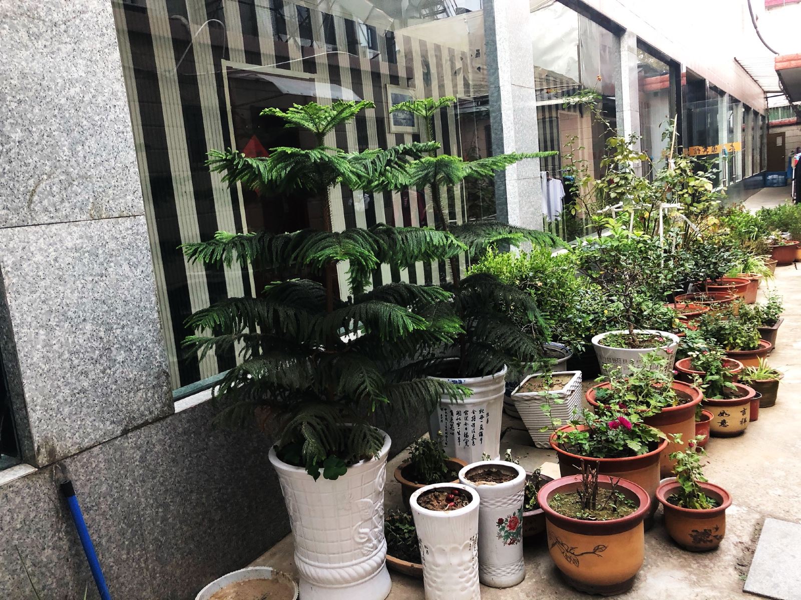 大观园宾馆(扬州文汇店)