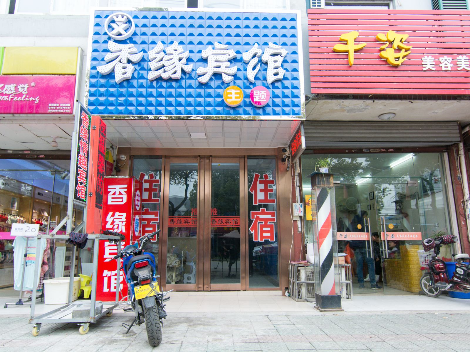 外观