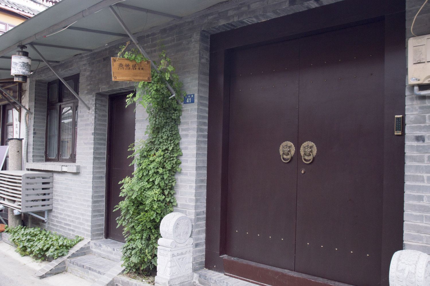 外观