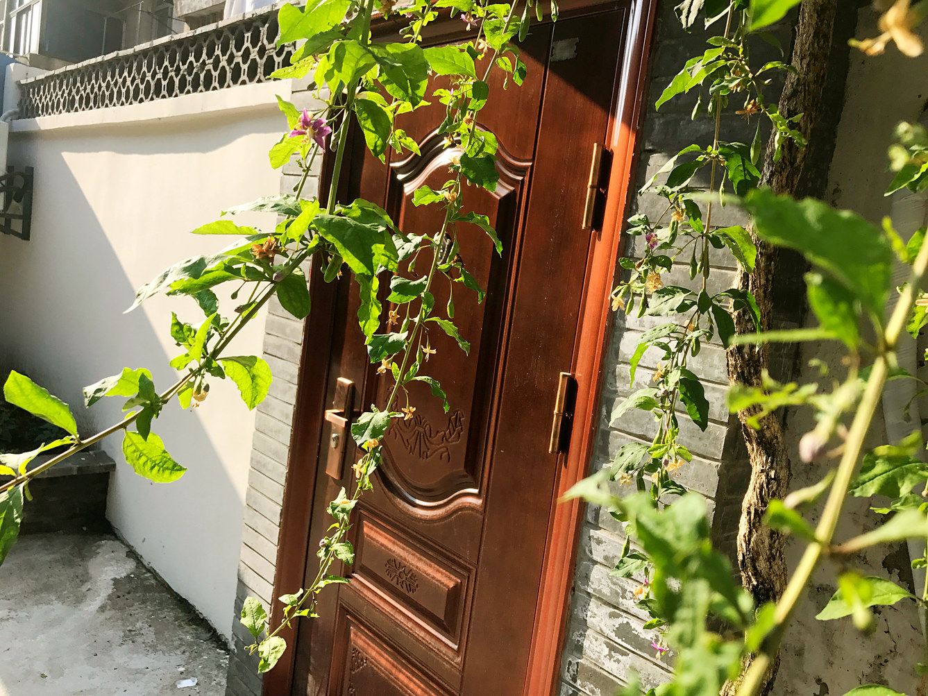 扬州瘦西湖西门小院普通公寓