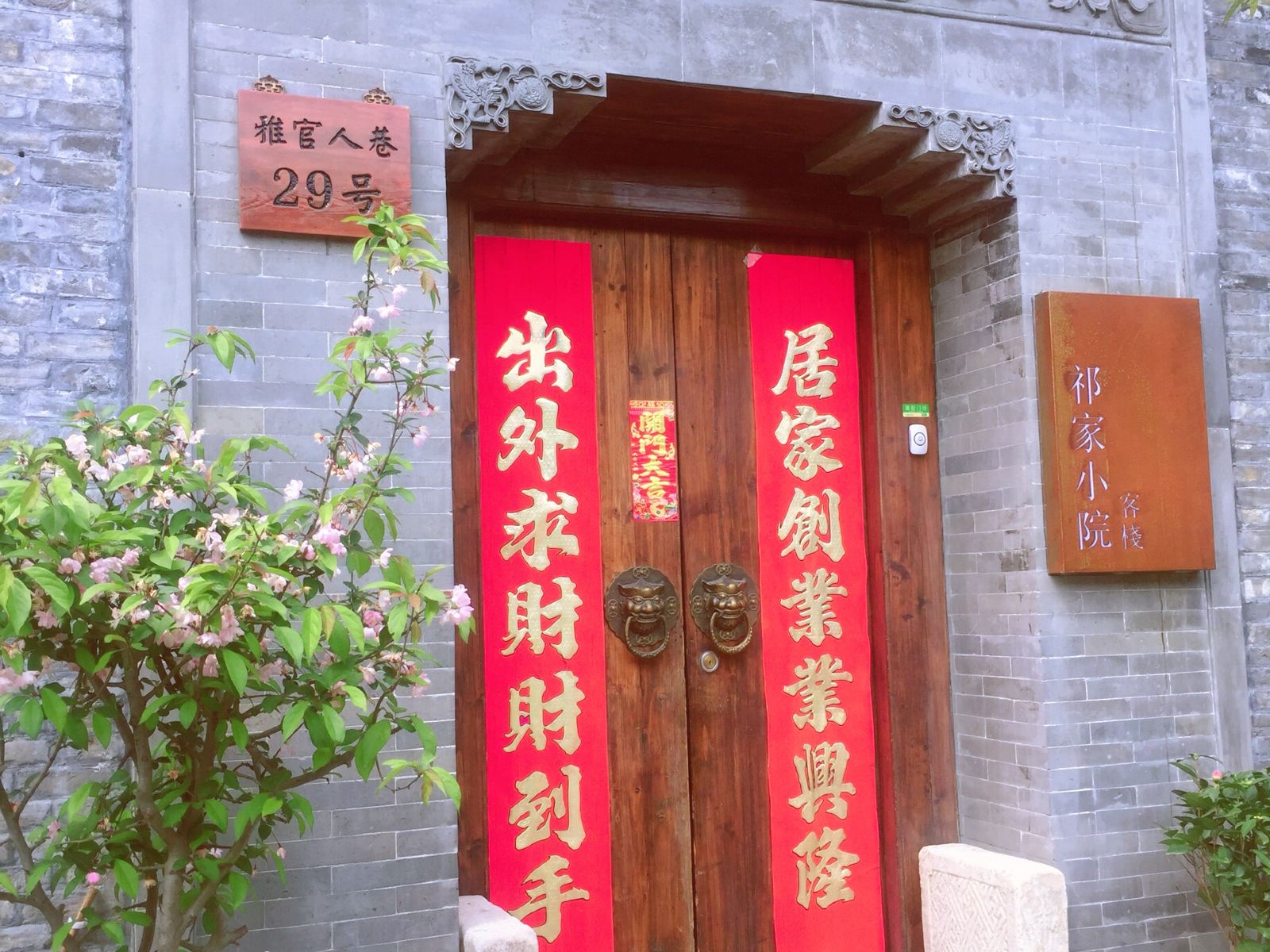 外观