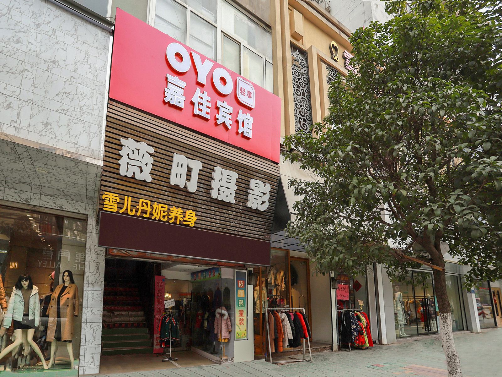 外观