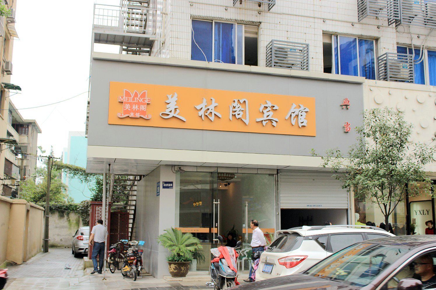 外观