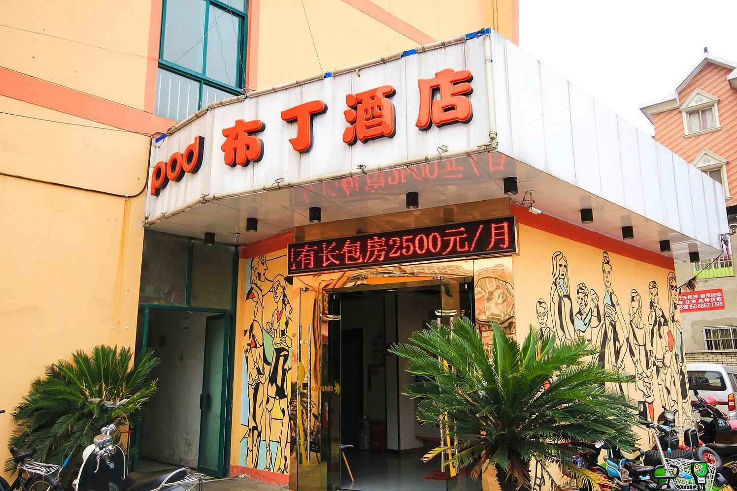外观
