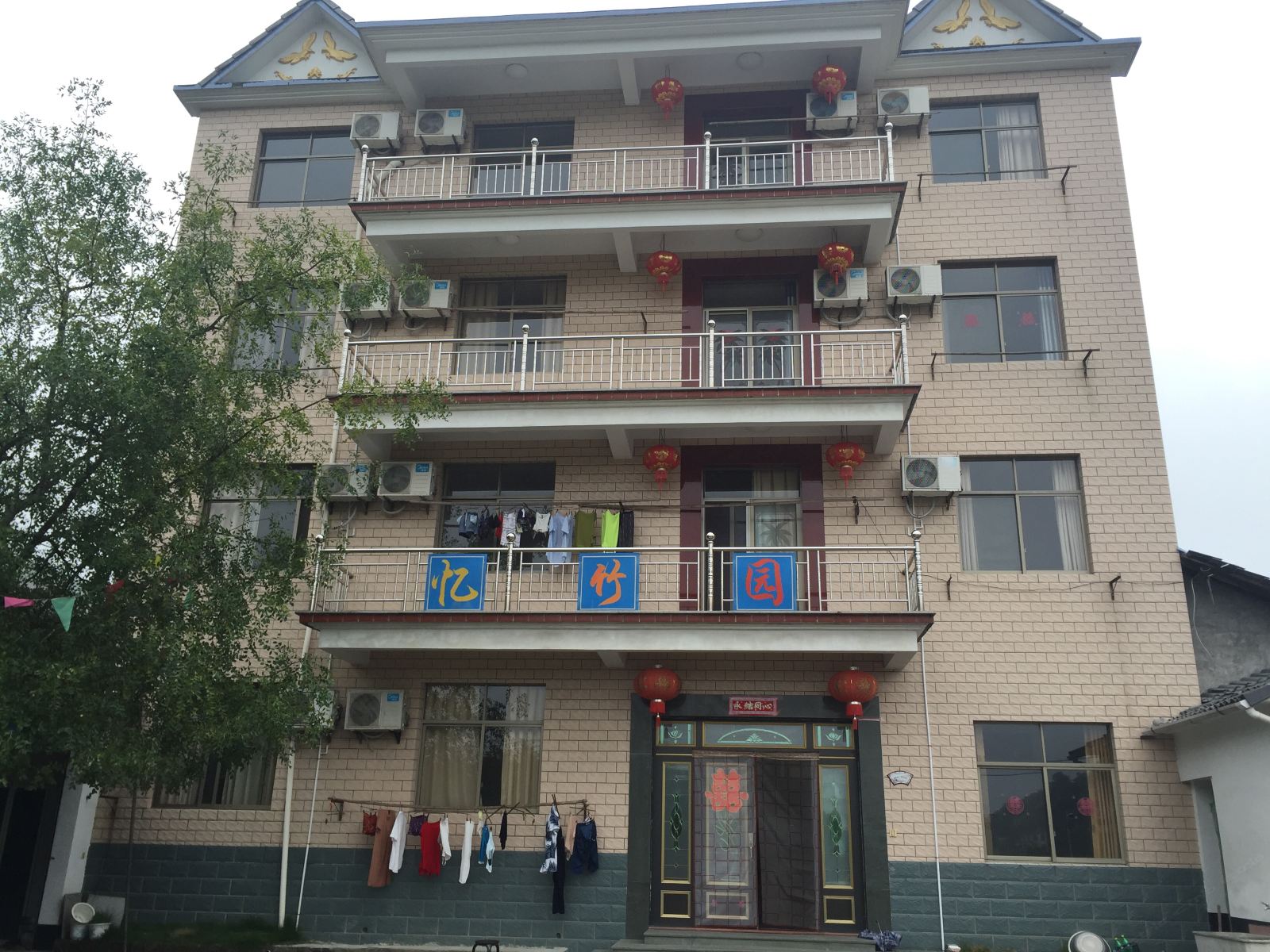 外观
