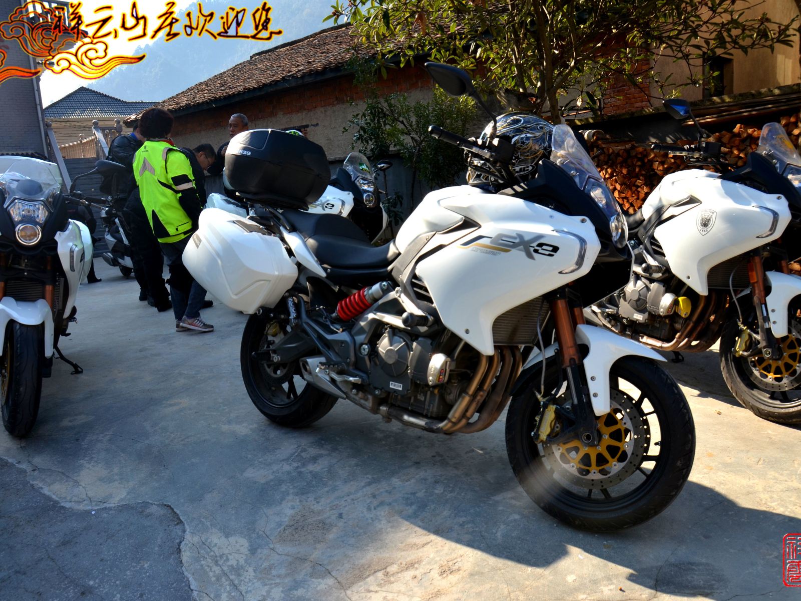 外观