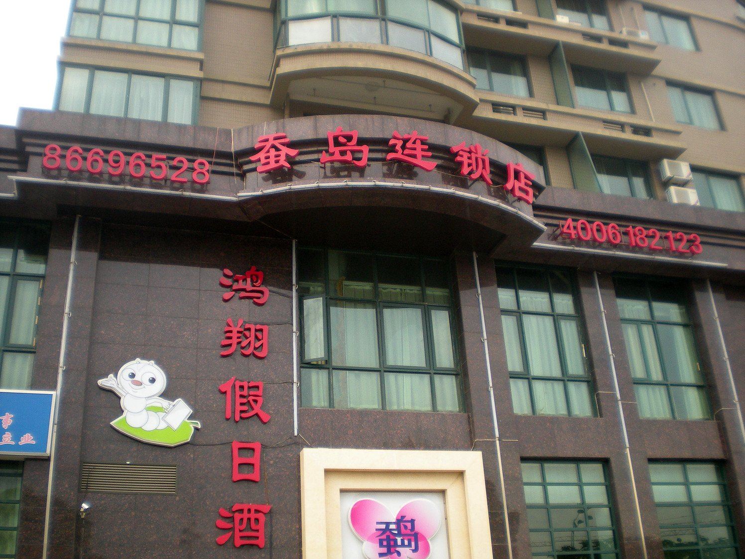 外观