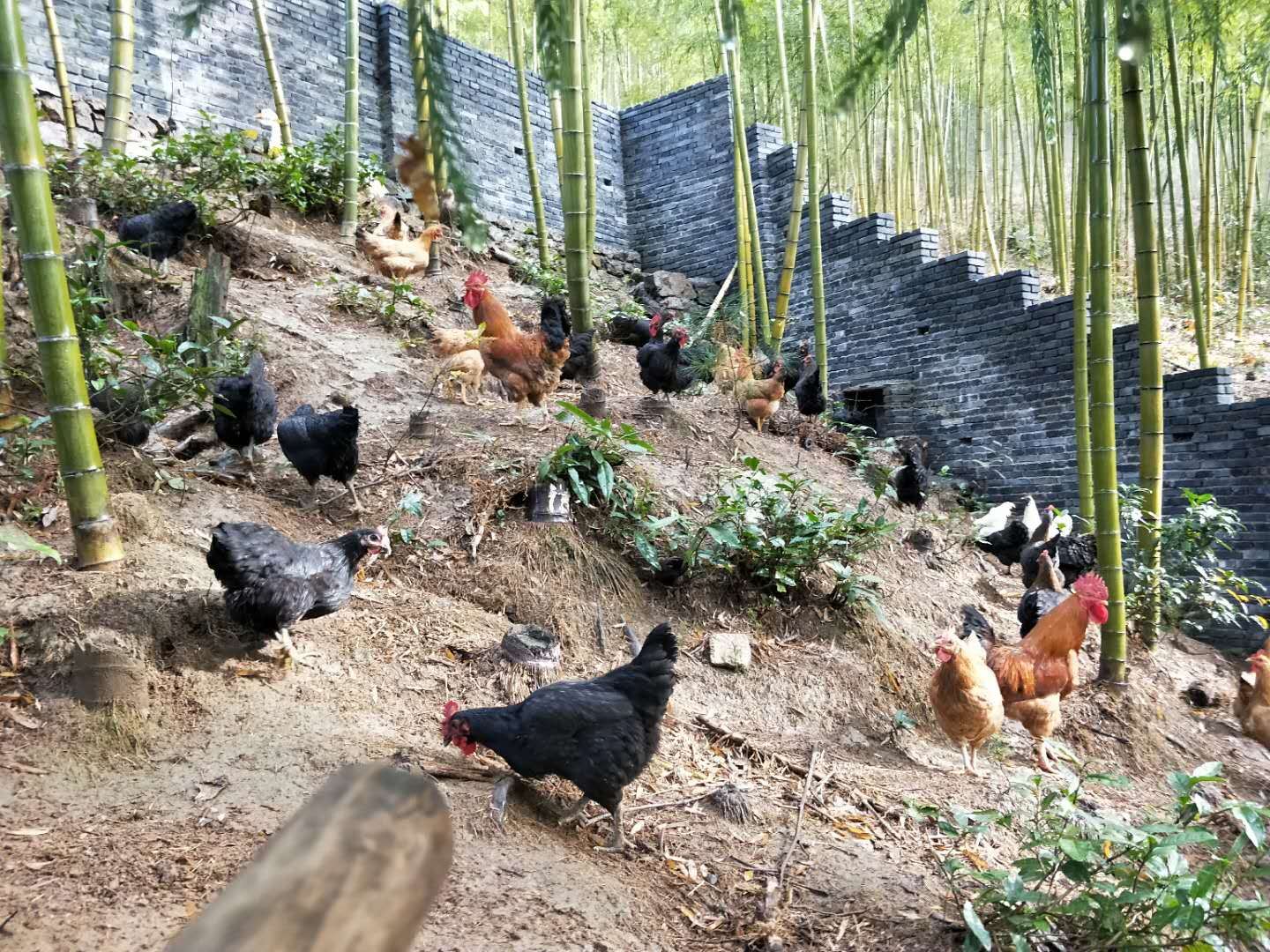 其他