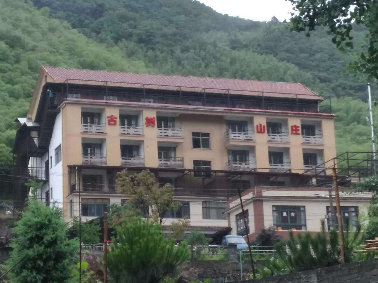 杭州古树山庄