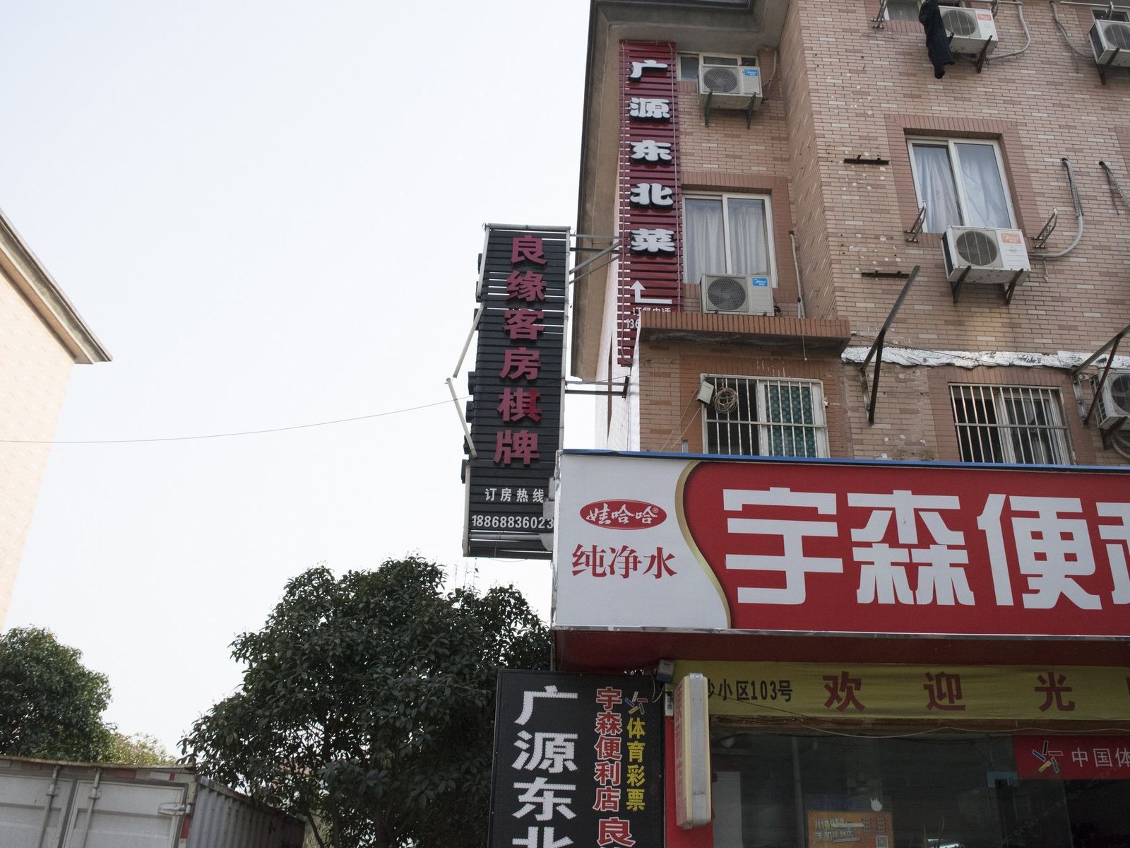 外观