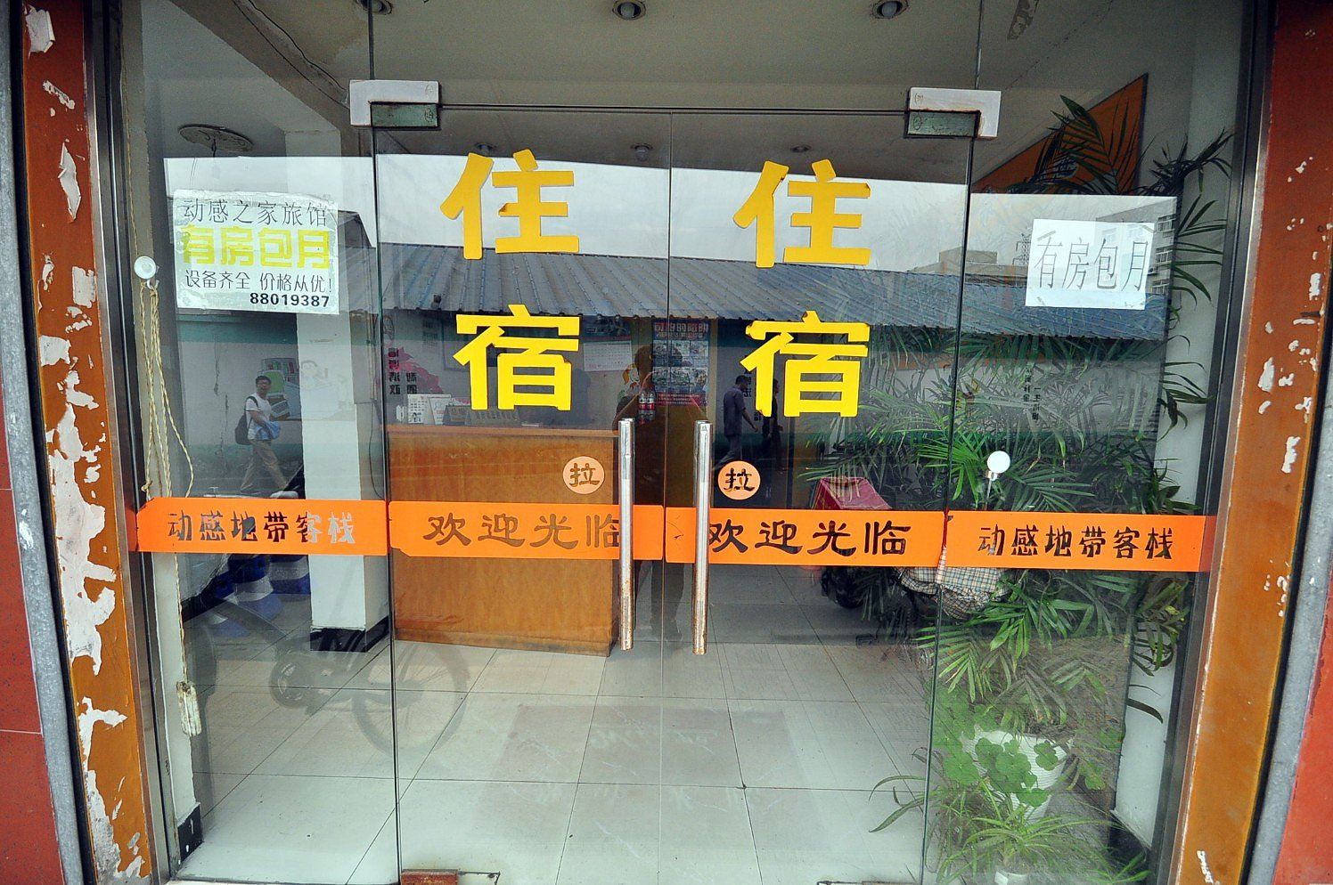 外观